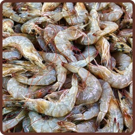Prawn